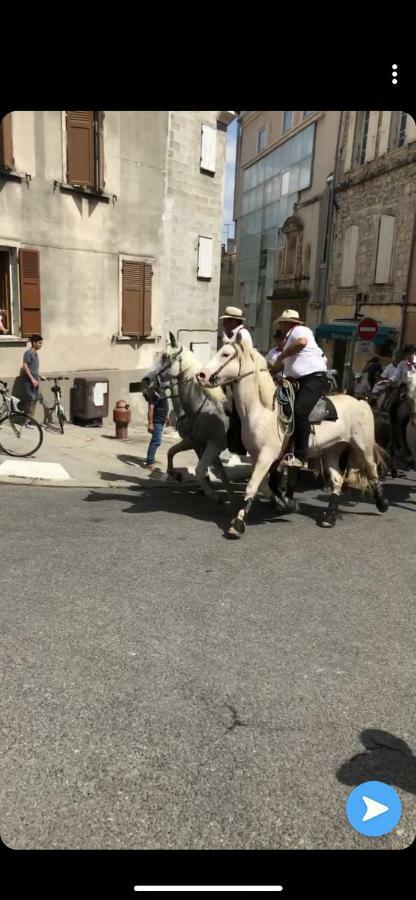 Appartement Les Hameaux 阿爾勒 外观 照片